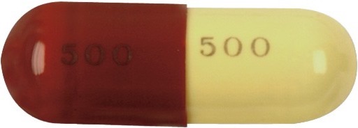 옥시마이신캡슐500mg 제품 사진