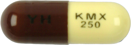 키목신캡슐250mg 제품 사진