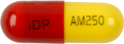 일동아목시실린수화물캡슐250mg 제품 사진