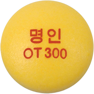 올트릴정300mg 제품 사진