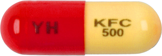 케파신캡슐500mg 제품 사진