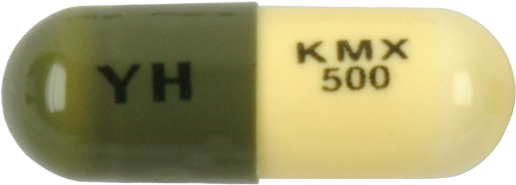 키목신캡슐500mg 제품 사진