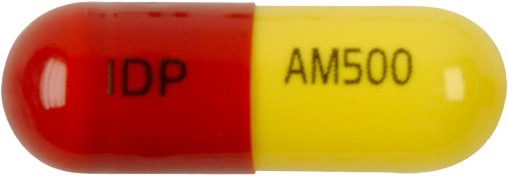 일동아목시실린수화물캡슐500mg 제품 사진