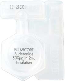풀미코트레스퓰분무용현탁액0.5mg/2ml_(0.5mg/2mL) 제품 사진