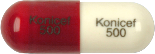 코니세프캡슐500mg 제품 사진