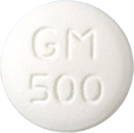구루메포민정500mg 제품 사진