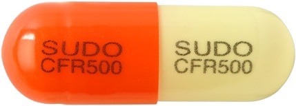 팜젠세프라딘수화물캡슐500mg 제품 사진