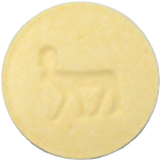 노보넘정1.0mg 제품 사진