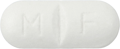 영일염산메트포르민정850mg 제품 사진