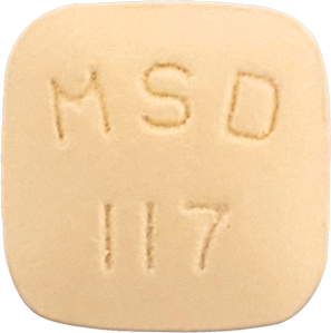 싱귤레어정10mg 제품 사진