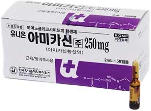 유니온아미카신주250mg_(0.25g/2mL) 제품 사진