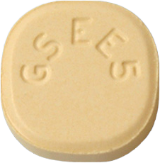 라믹탈정100mg 제품 사진