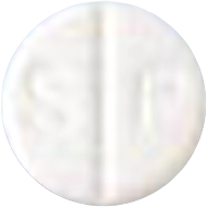 로스탈정100mg 제품 사진