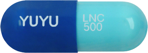 린코신캡슐500mg 제품 사진