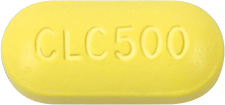 클라릭정500mg 제품 사진