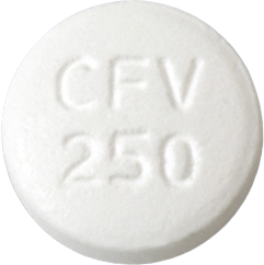 팜스터정250mg 제품 사진