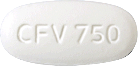 팜스터정750mg 제품 사진