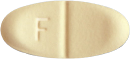 펠로정10mg 제품 사진