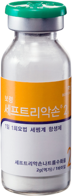 보령세프트리악손주2g_(2g/1병) 제품 사진