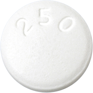 바이비어정250mg 제품 사진