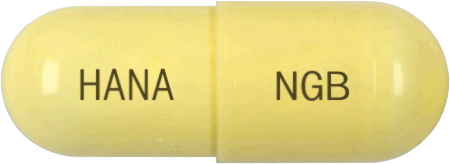 뉴가바캡슐300mg 제품 사진