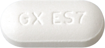 진네트정250mg 제품 사진