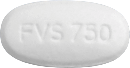 팜빅스정750mg 제품 사진