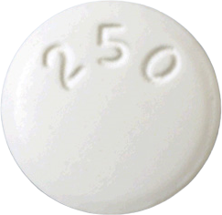아나클로버정250mg 제품 사진