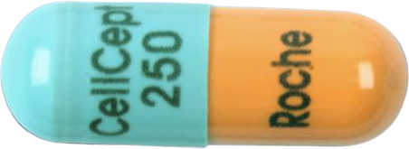 셀셉트캡슐250mg 제품 사진
