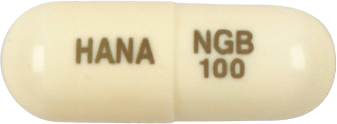 뉴가바캡슐100mg 제품 사진