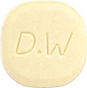라미아트정100mg 제품 사진