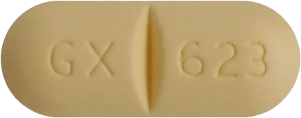 지아겐정300mg 제품 사진