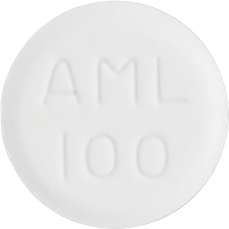 폴라리스정100mg 제품 사진