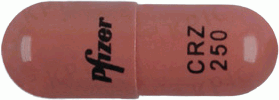 잴코리캡슐250mg 제품 사진