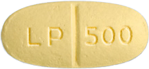 렙필정500mg 제품 사진