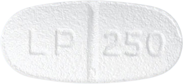렙필정250mg 제품 사진