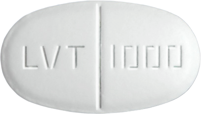 레비로틴정1000mg 제품 사진
