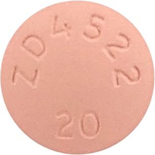 비바코정20mg 제품 사진