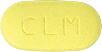 클래미신정250mg 제품 사진