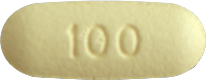녹사필장용정100mg 제품 사진