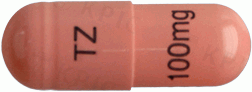 테모람캡슐100mg 제품 사진