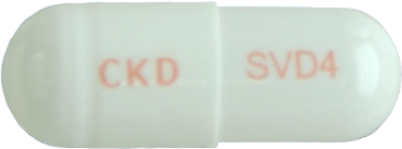 실버도신캡슐4mg 제품 사진
