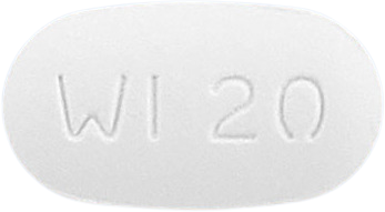 환인파록세틴정20mg 제품 사진