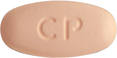 레플록신정500mg 제품 사진