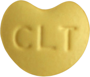 콩브럭정10mg 제품 사진