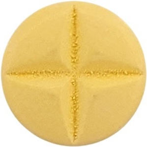 토파린정100mg 제품 사진