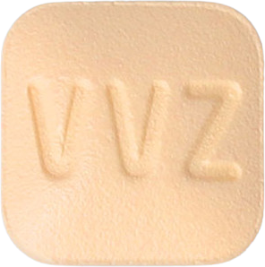 비보존몬테루카스트정10mg 제품 사진