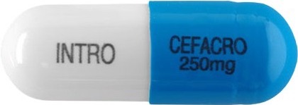 세파크로캡슐250mg 제품 사진