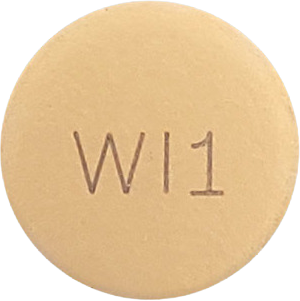 하이콘티세미서방정 제품 사진