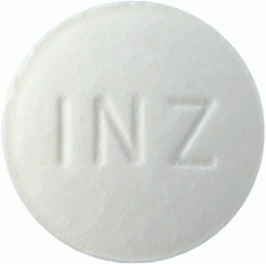 이나졸정100mg 제품 사진